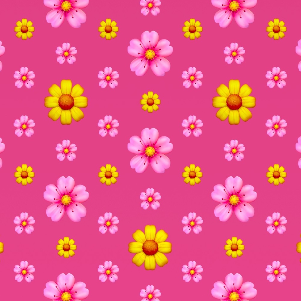 Meet your Posher, KoKo